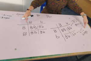KS4 LEARNING